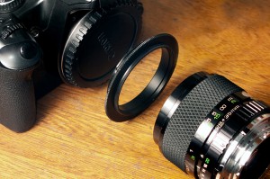 Teknik Fotografi Alam di Pagi Hari