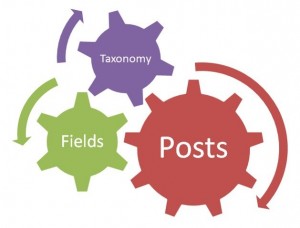 Wordpress Custom Field Plugin, Merubah Wordpress Jadi Website Sesuai Kebutuhan