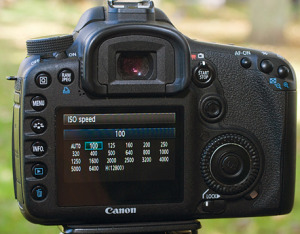 Belajar Fotografi : Apa Itu ISO ?