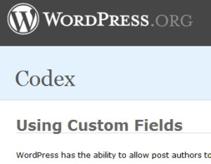 ACF: Lebih Mudah Dan Rapi Tangani Custom Field Wordpress
