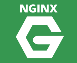 Ngx_pagespeed : Module 3rd Party Bikin Nginx Semakin Ngebut